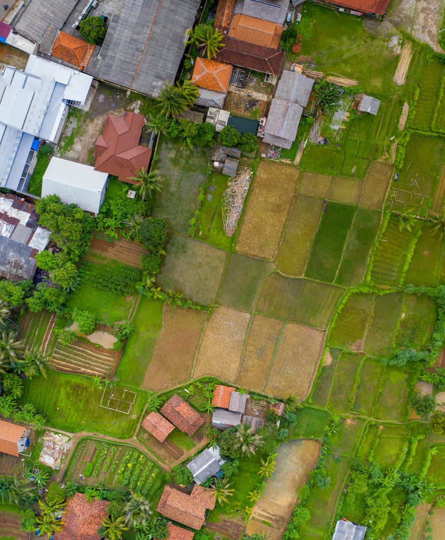 Farm plots with paths and houses