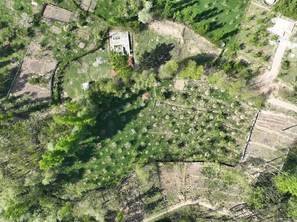 Illustrative aerial photo of fenced plots among trees and fields
